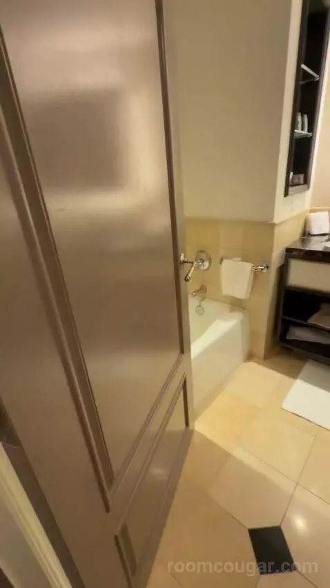 Deluxe King Room bathroom picture #2