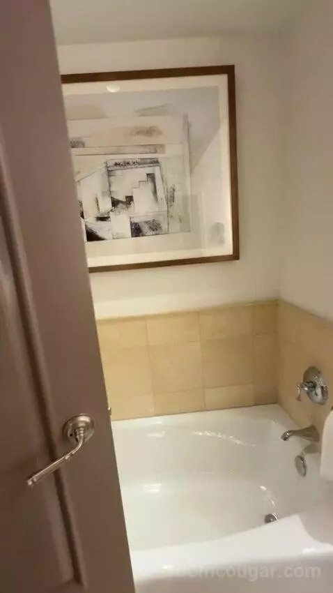Deluxe King Room bathroom picture #3