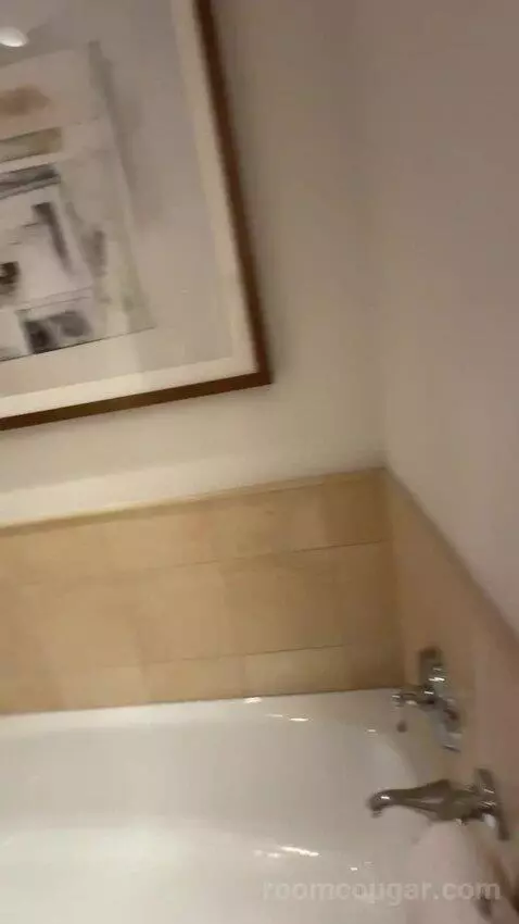 Deluxe King Room bathroom picture #6