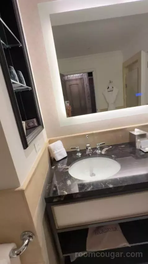 Deluxe King Room bathroom picture #8