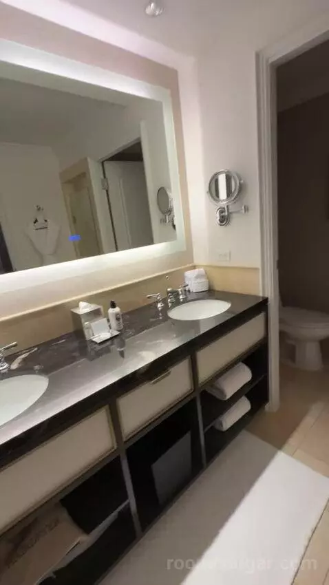 Deluxe King Room bathroom picture #9