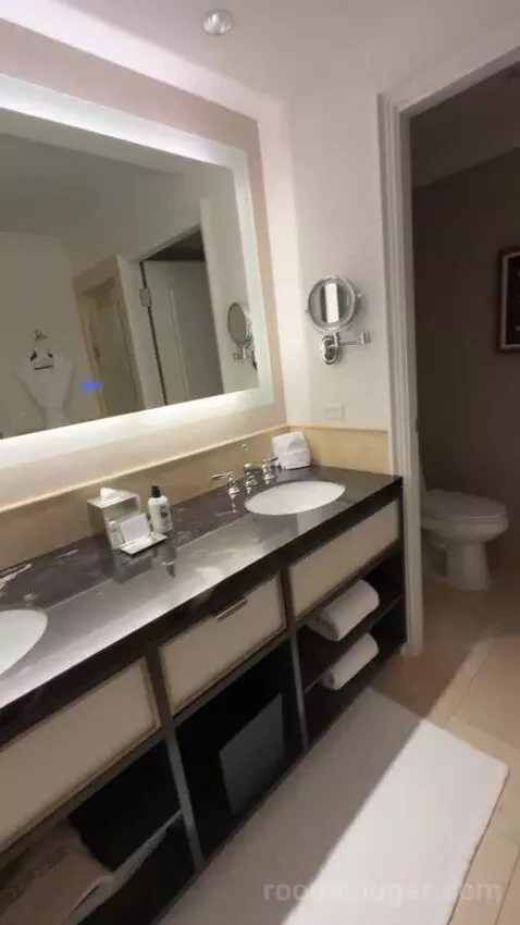 Deluxe King Room bathroom picture #10