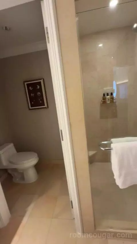 Deluxe King Room bathroom picture #11