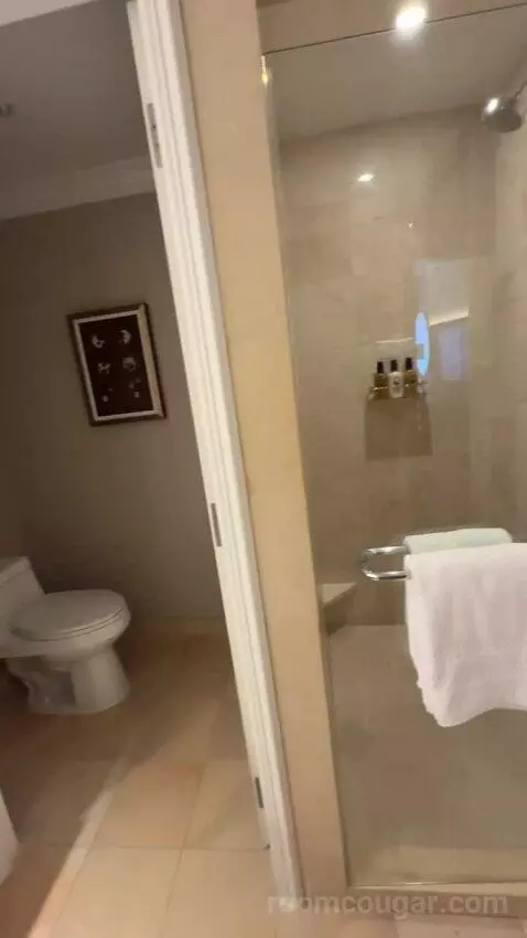 Deluxe King Room bathroom picture #12