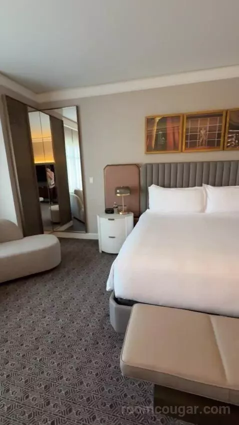 Deluxe King Room bed picture #7
