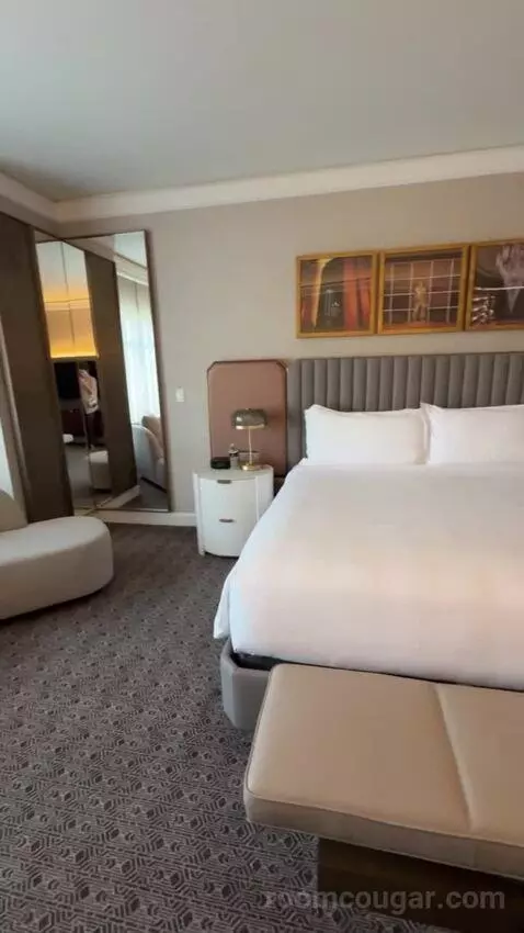 Deluxe King Room bed picture #8
