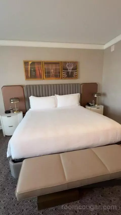 Deluxe King Room bed picture #10