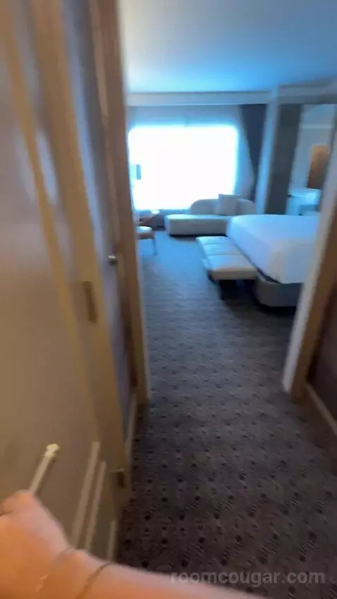 Deluxe King Room bed picture #1