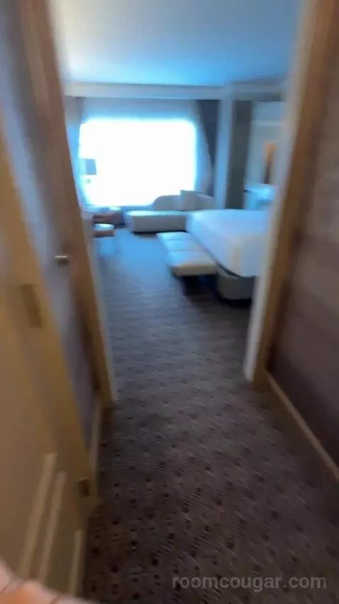 Deluxe King Room bed picture #2