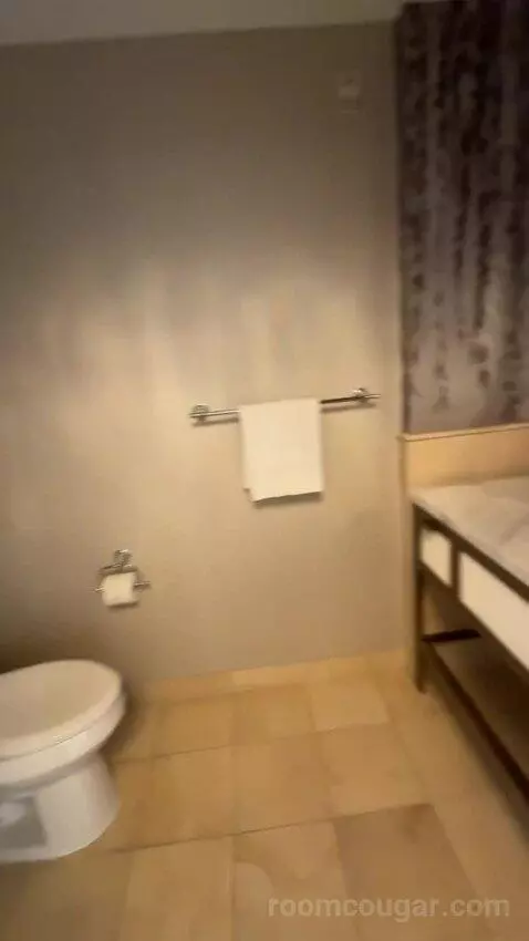 Luxury Suite bathroom picture #9