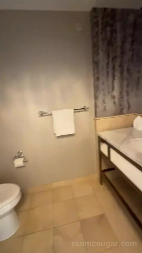 Luxury Suite bathroom picture #10