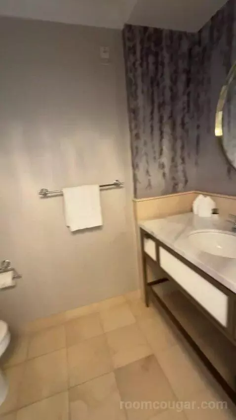 Luxury Suite bathroom picture #11