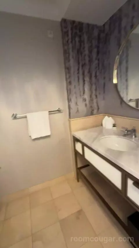Luxury Suite bathroom picture #12