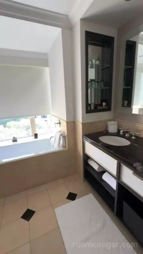 Luxury Suite bathroom picture #1