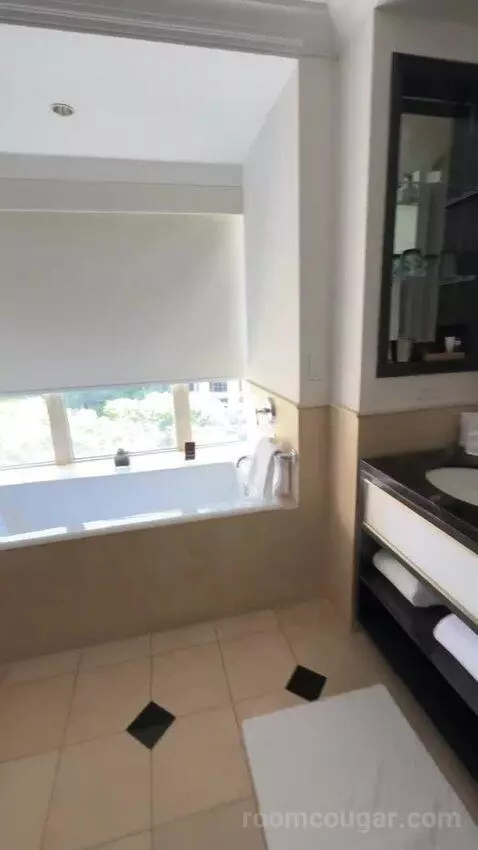 Luxury Suite bathroom picture #3