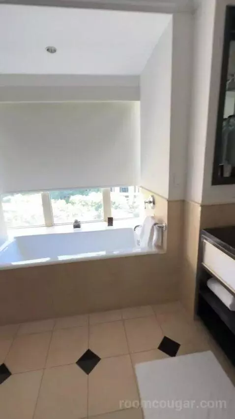 Luxury Suite bathroom picture #4
