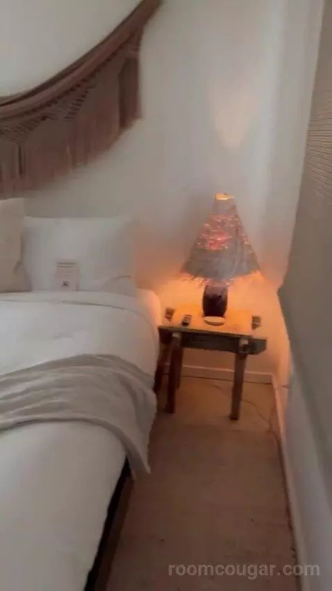 Deluxe King Room bed picture #2