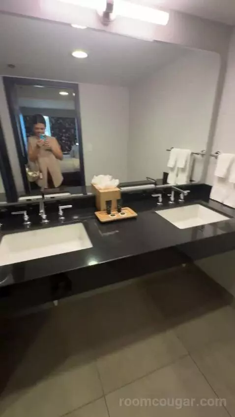 King Suite bathroom picture #6