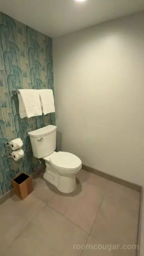 King Suite bathroom picture #7