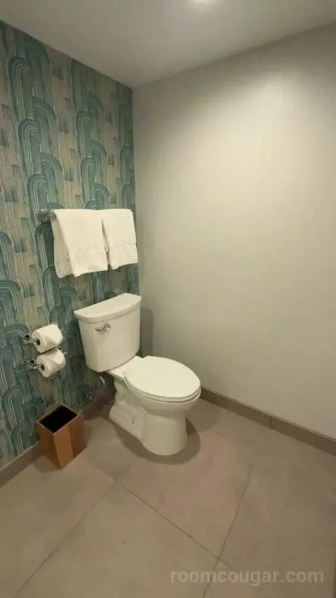 King Suite bathroom picture #8