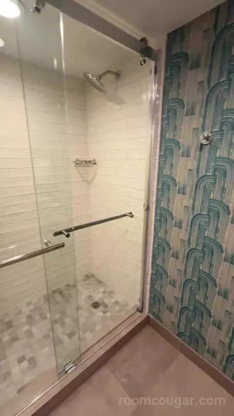 King Suite bathroom picture #9