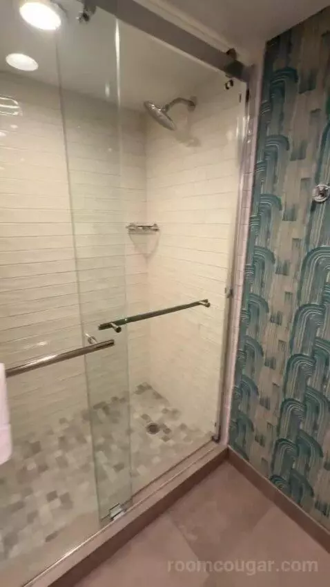 King Suite bathroom picture #10