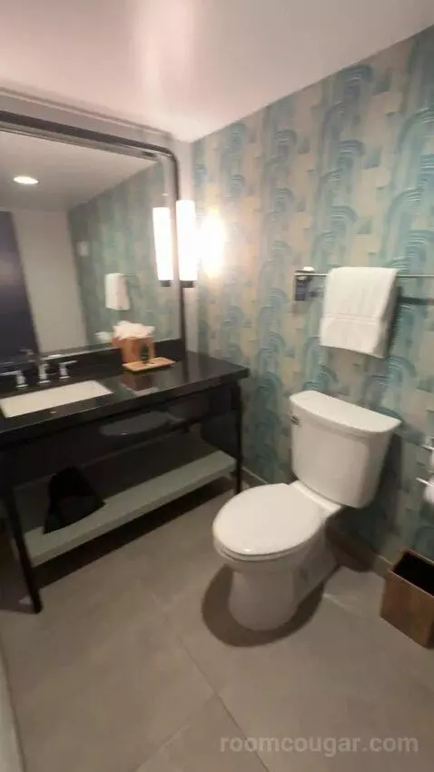 King Suite bathroom picture #1