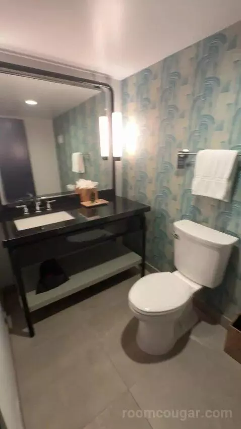 King Suite bathroom picture #2