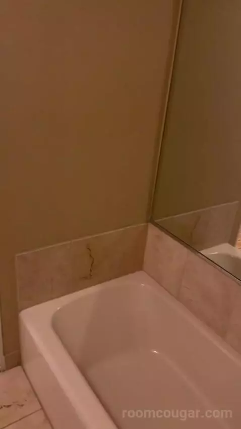 One-Bedroom King Suite with Sofa Bed and Balcony bathroom picture #5