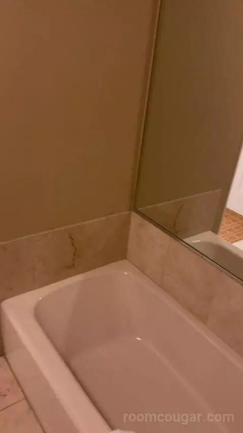 One-Bedroom King Suite with Sofa Bed and Balcony bathroom picture #6