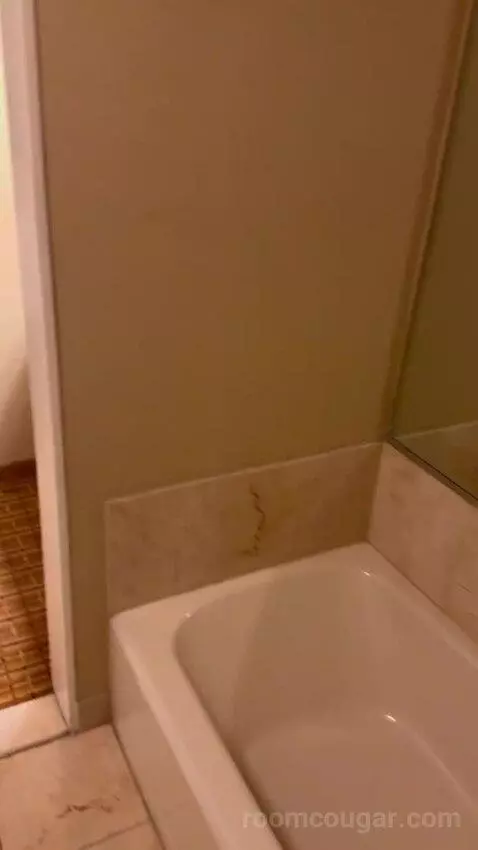 One-Bedroom King Suite with Sofa Bed and Balcony bathroom picture #7