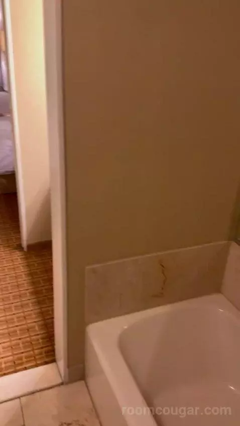 One-Bedroom King Suite with Sofa Bed and Balcony bathroom picture #8
