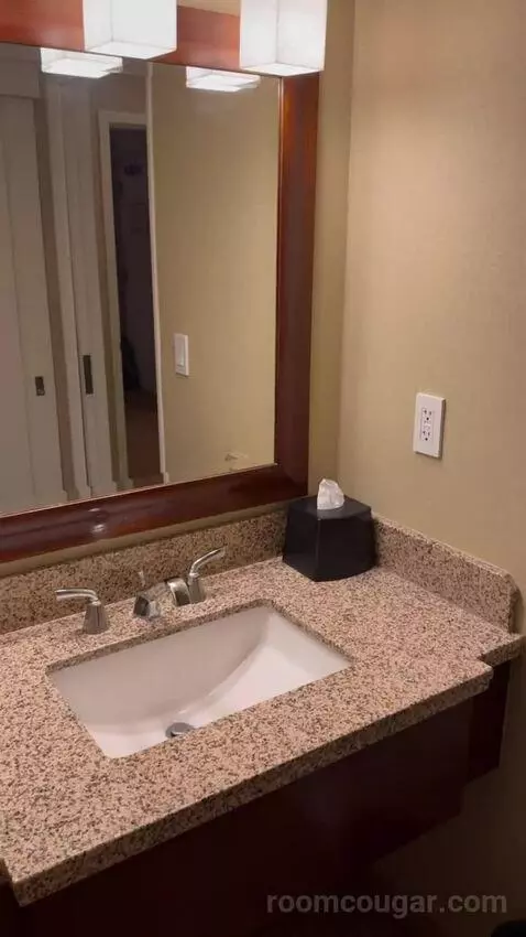 One-Bedroom King Suite with Sofa Bed and Balcony bathroom picture #9