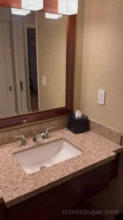One-Bedroom King Suite with Sofa Bed and Balcony bathroom picture #10