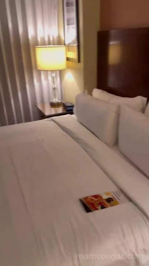 One-Bedroom King Suite with Sofa Bed and Balcony bed picture #8