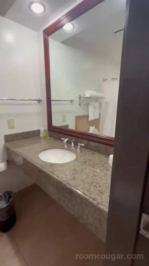 Standard King bathroom picture #7