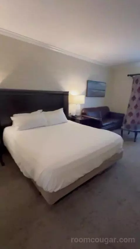 Standard King bed picture #3