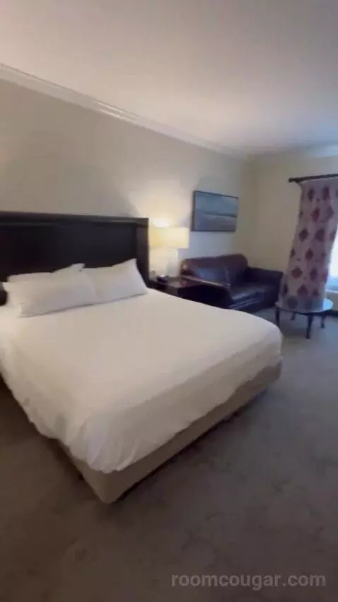 Standard King bed picture #4