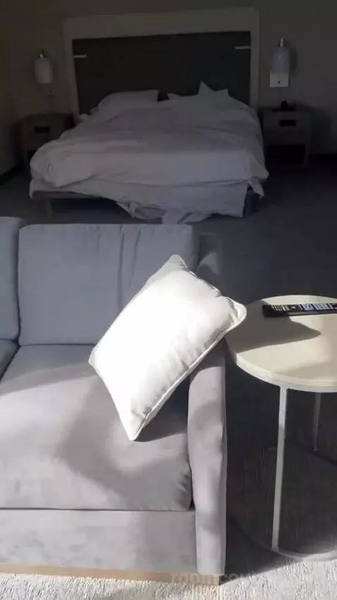 King Studio Suite bed picture #3