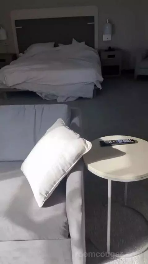 King Studio Suite bed picture #5