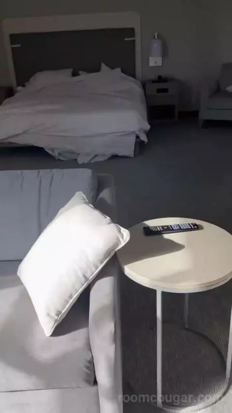 King Studio Suite bed picture #6