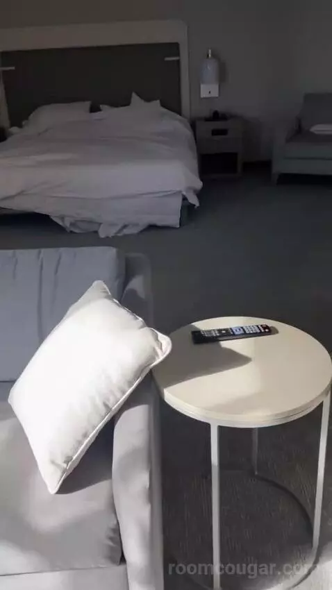 King Studio Suite bed picture #7