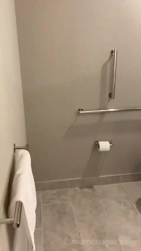 King Studio Suite bathroom picture #5