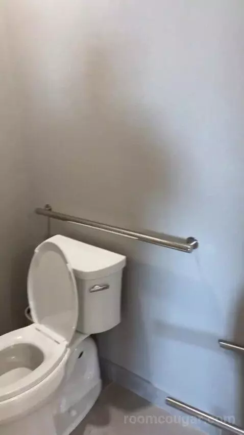 King Studio Suite bathroom picture #8