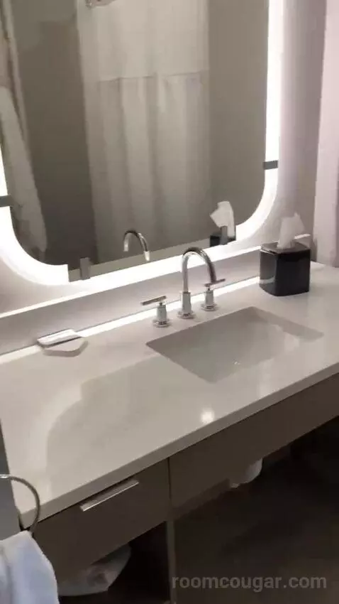 King Studio Suite bathroom picture #9