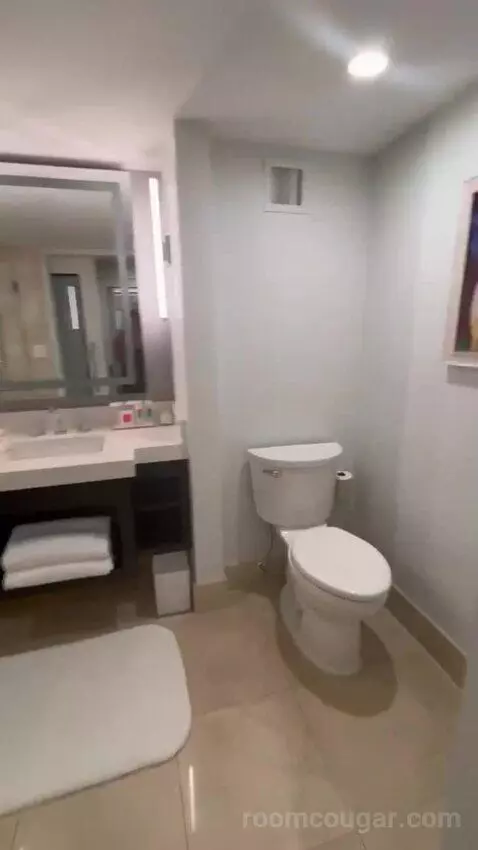 King Room with Ocean View and Balcony bathroom picture #2