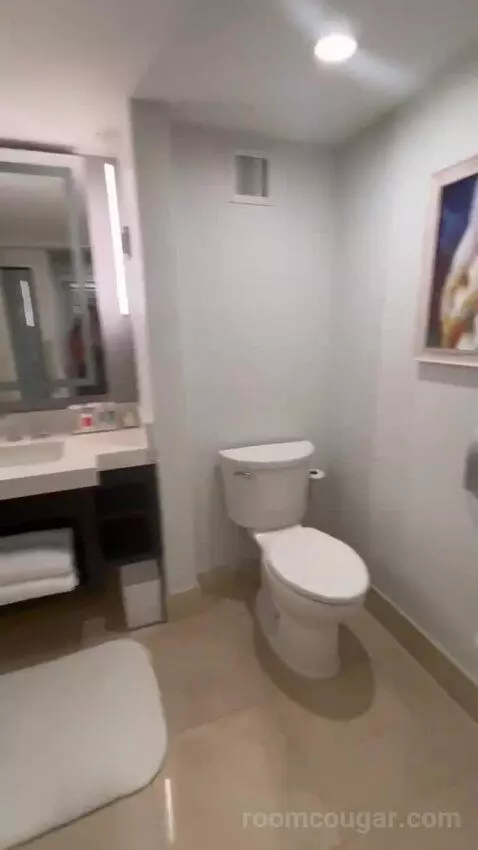 King Room with Ocean View and Balcony bathroom picture #3