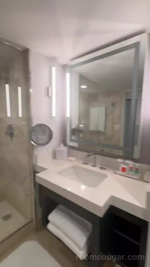 King Room with Ocean View and Balcony bathroom picture #9