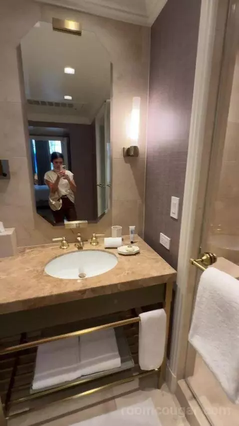 Mansion Suite bathroom picture #5