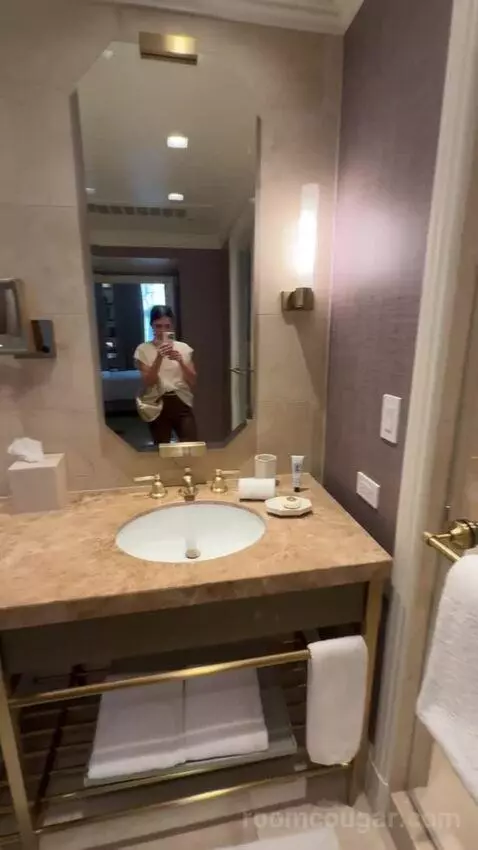 Mansion Suite bathroom picture #6